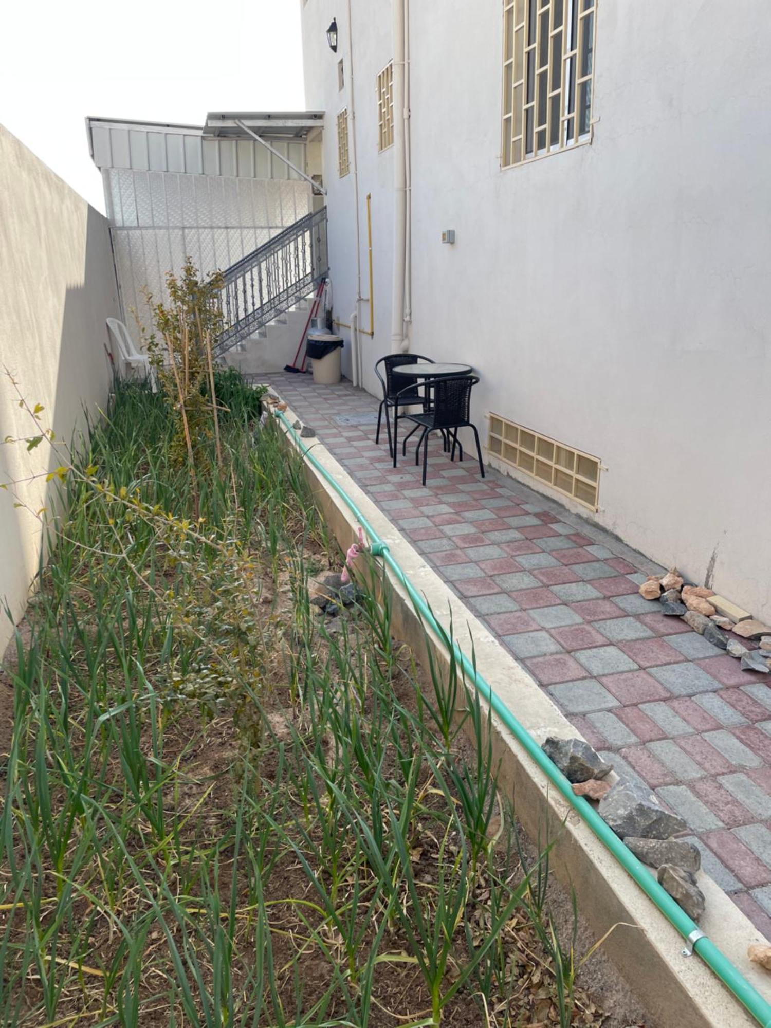 Apartment In Bayt Al Jabal شقة في بيت الجبل Sayq Buitenkant foto